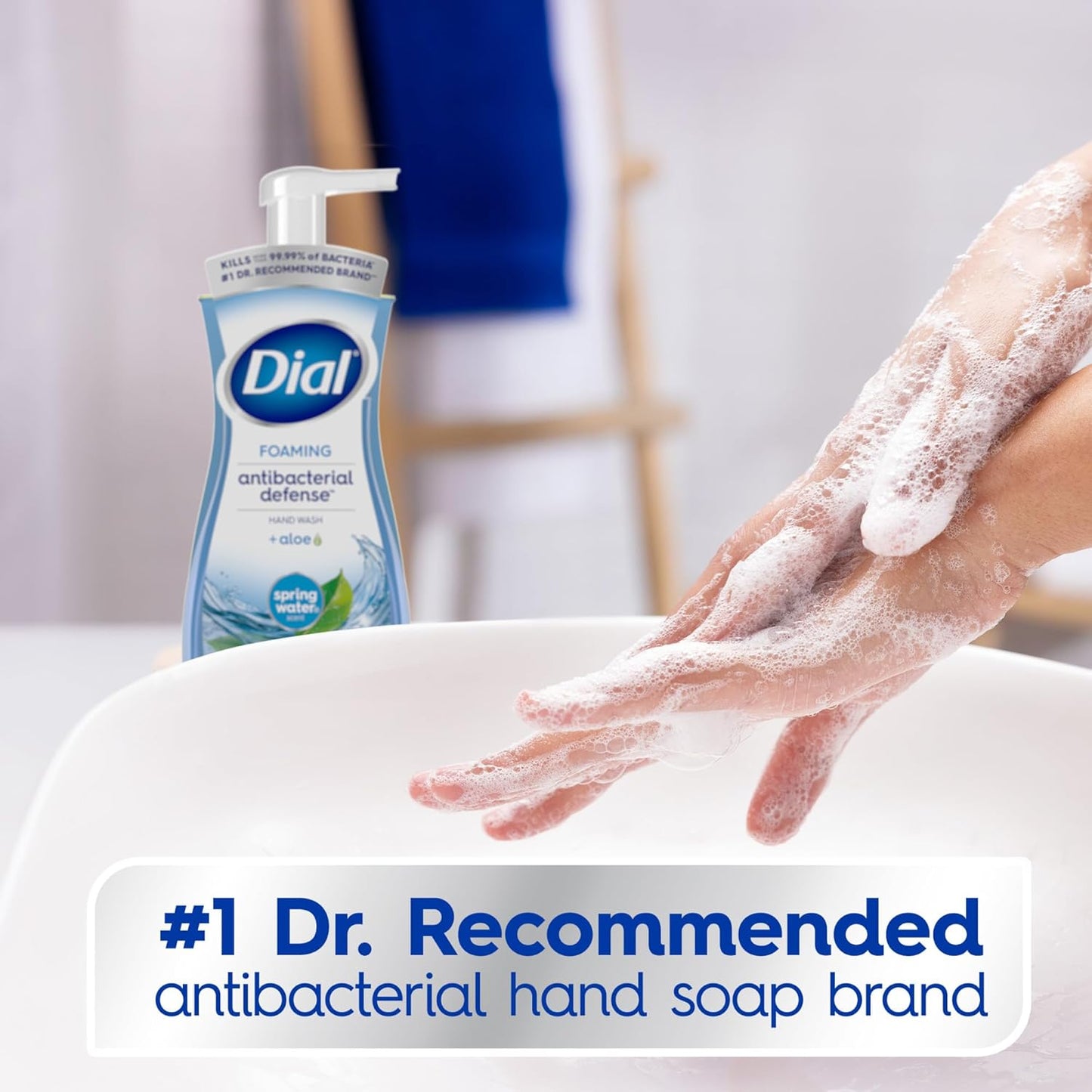 Dial Antibacterial Foaming Hand Soap + Aloe, Spring Water Scent (6 Pack)