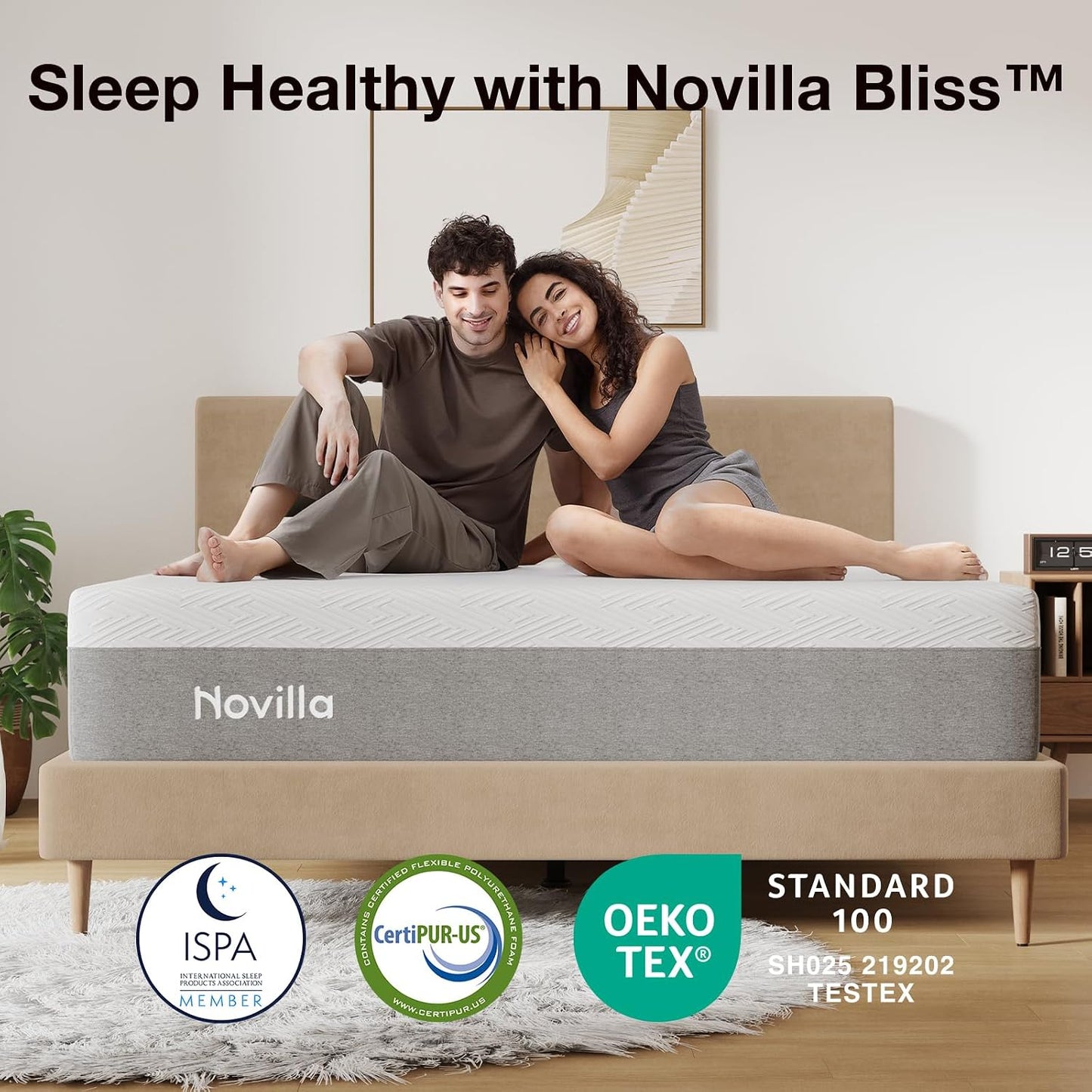 12 Inch Gel Memory Foam Queen Mattress for Cool Sleep & Spinal Support by Novilla