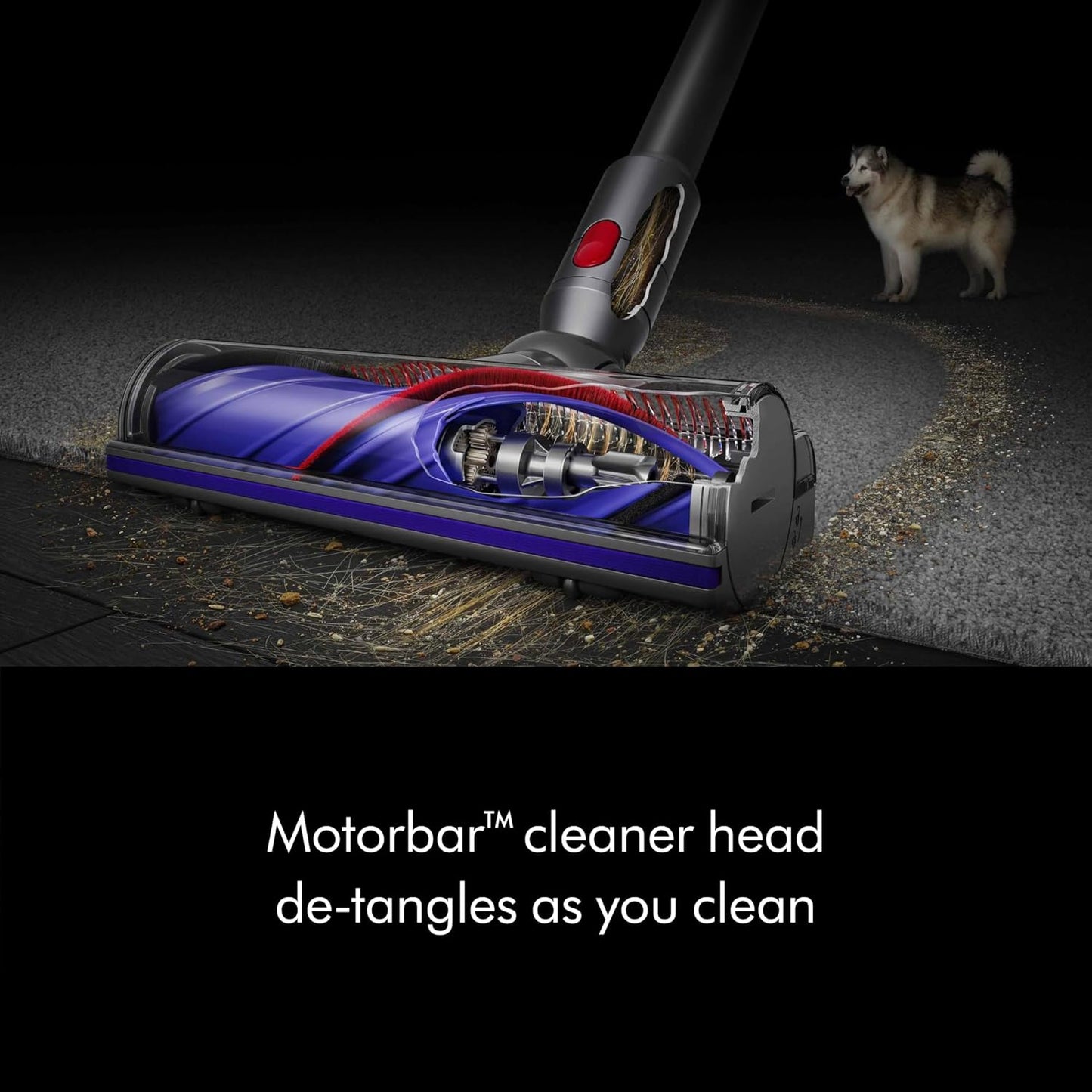 Dyson V8 Plus Cordless Vacuum - Cleans Hard Floors & Carpets, Detangles Hair, Up to 40 Min Run Time