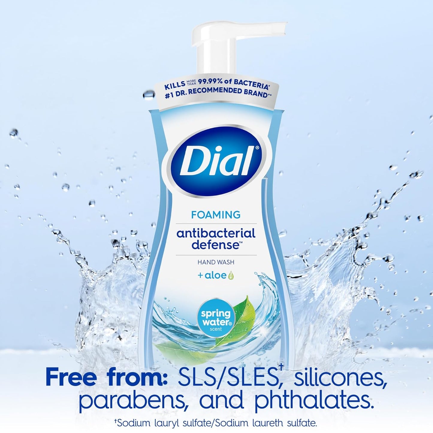 Dial Antibacterial Foaming Hand Soap + Aloe, Spring Water Scent (6 Pack)