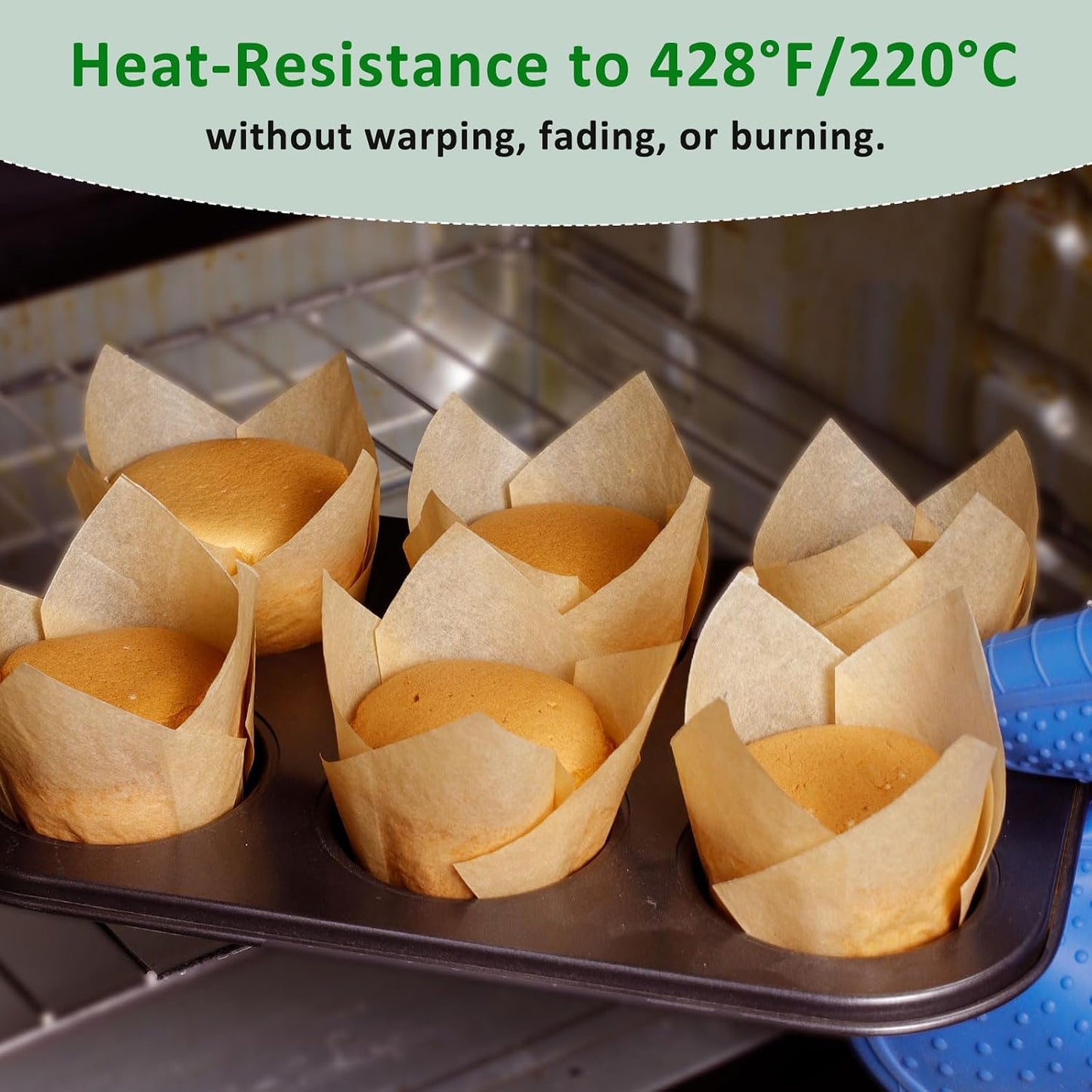 Caperci 150 Count Natural Tulip Unbleached Parchment Cupcake Liners for Baking