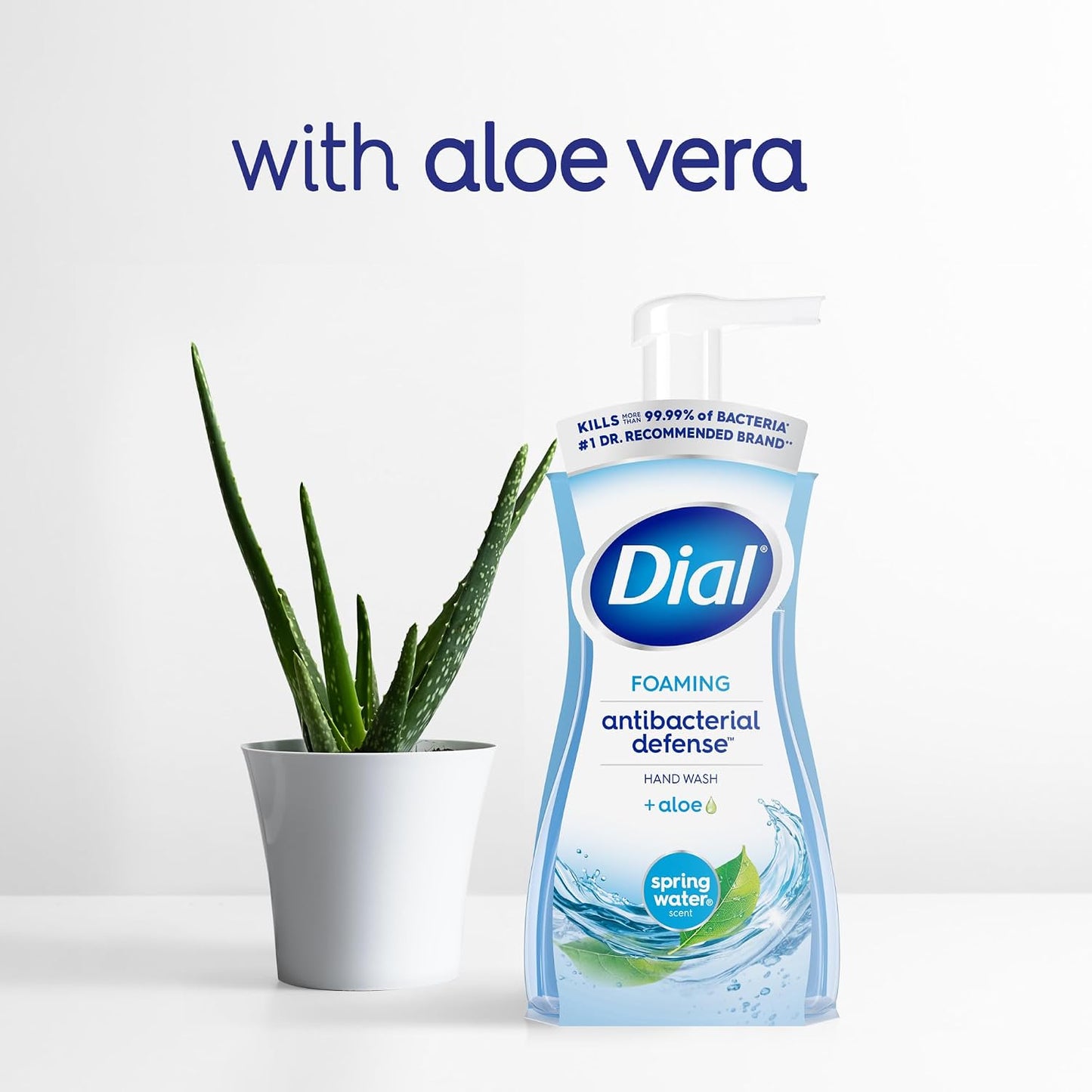 Dial Antibacterial Foaming Hand Soap + Aloe, Spring Water Scent (6 Pack)