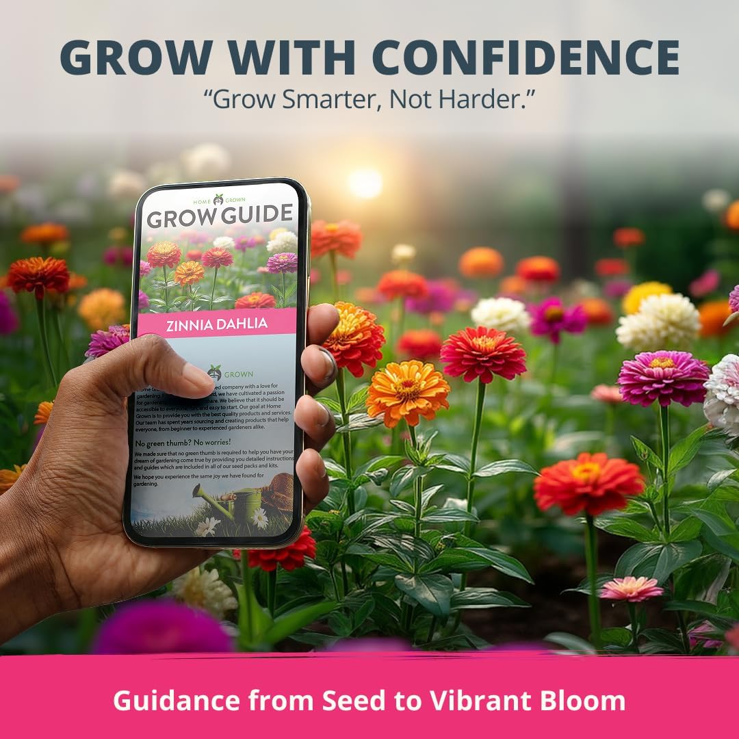 HOME GROWN Zinnia Dahlia Seeds - 524 Non GMO for Vibrant Pollinator Gardens