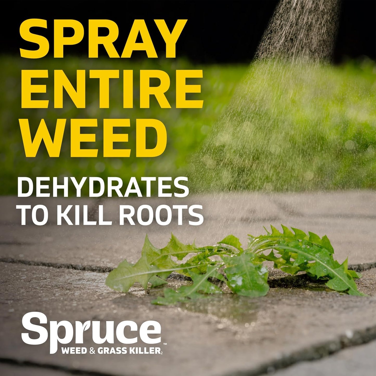 Versatile No-Mess Weed Killer Refill for Flower Beds & Driveways - Spruce (64 Oz)