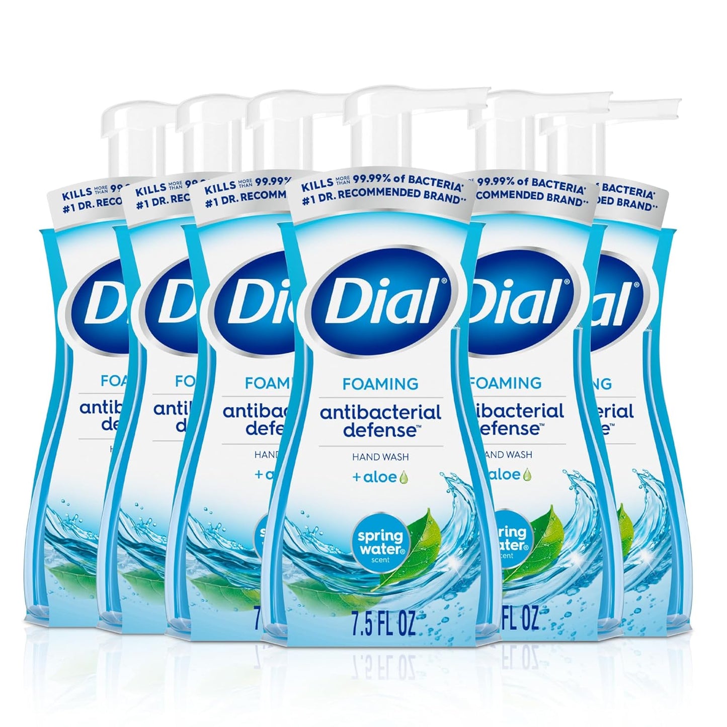 Dial Antibacterial Foaming Hand Soap + Aloe, Spring Water Scent (6 Pack)