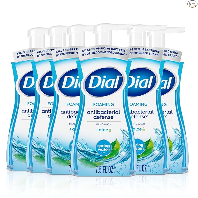 Dial Antibacterial Foaming Hand Soap + Aloe, Spring Water Scent (6 Pack)