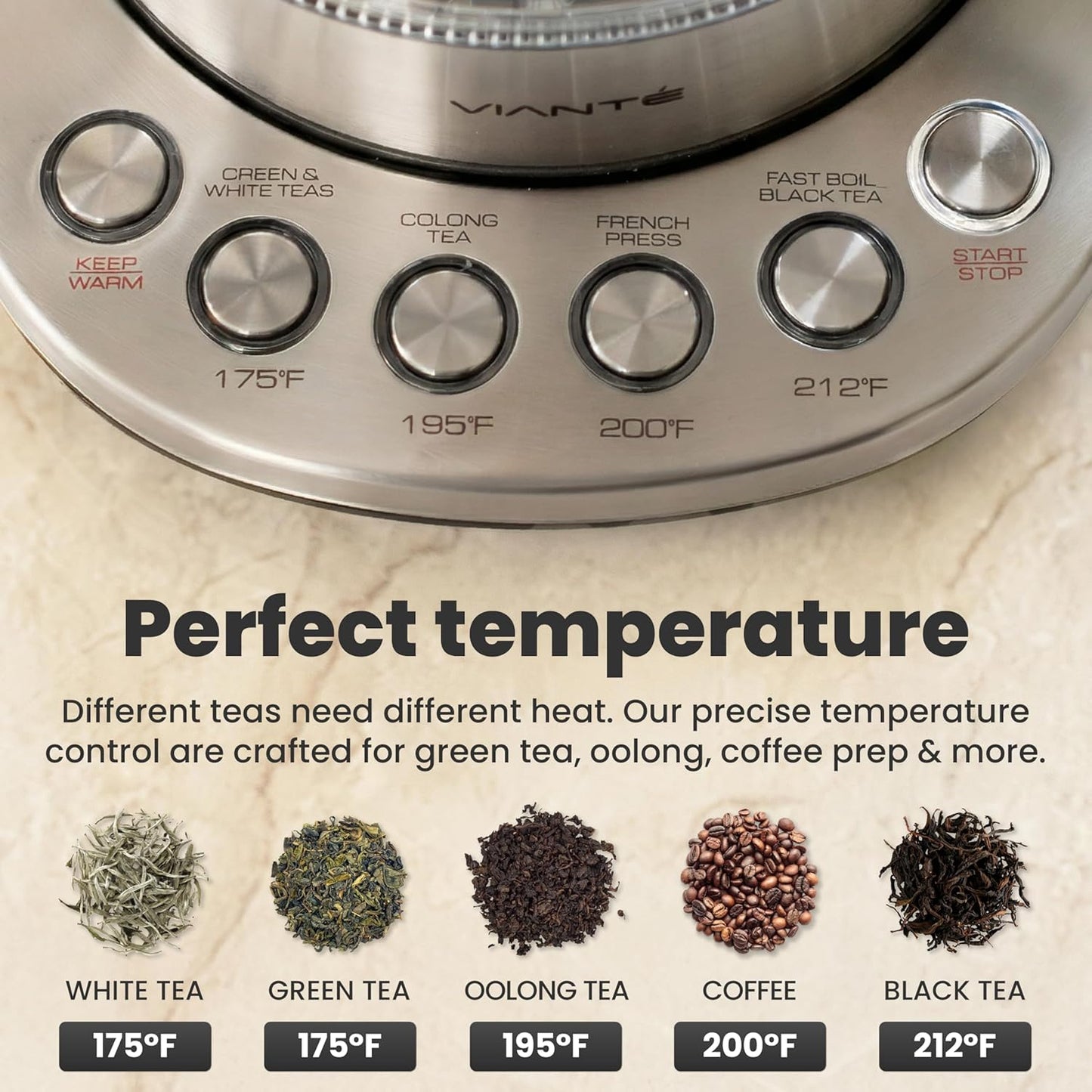 Viante Alba Electric Tea Kettle No Plastic | Borosilicate Glass & Stainless Steel