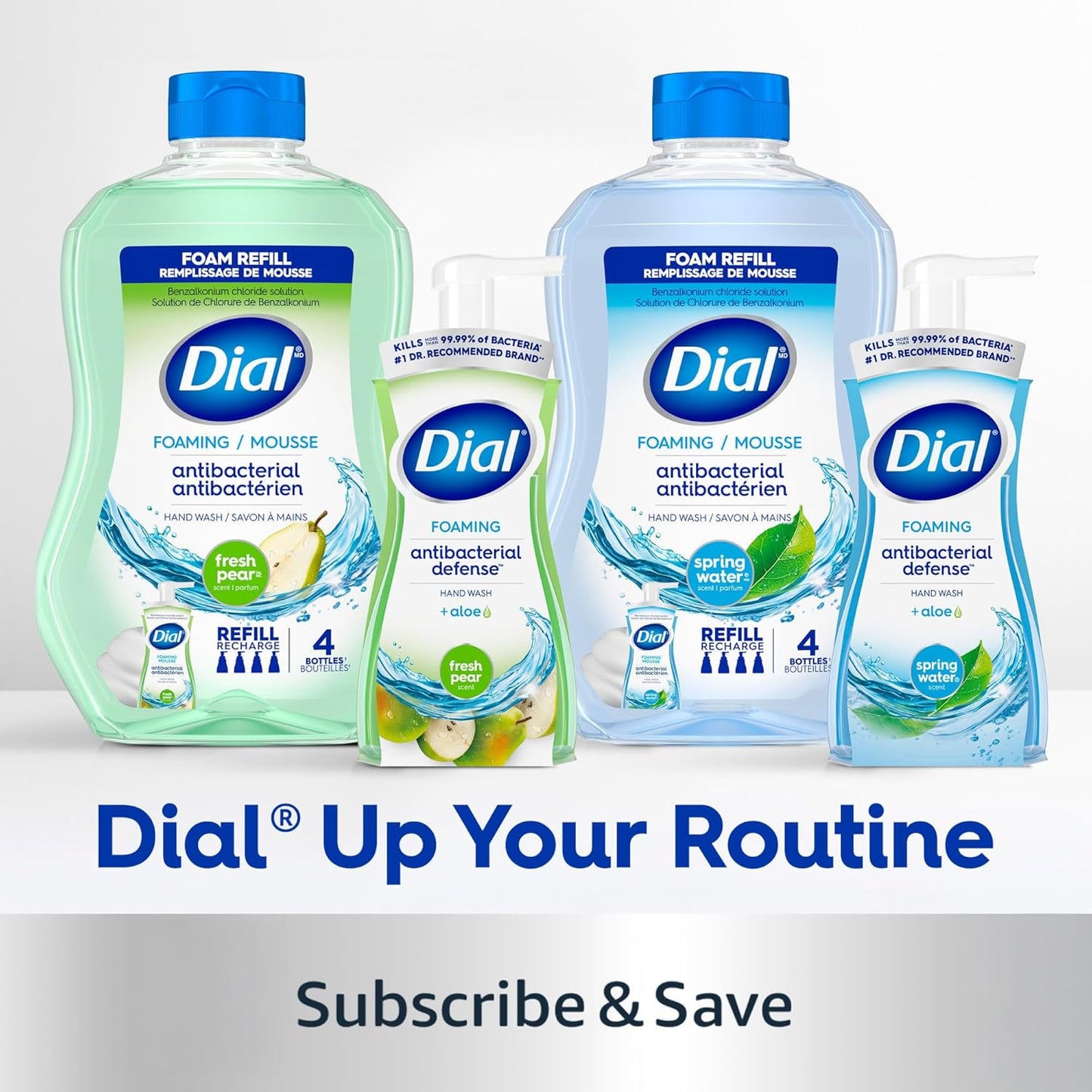 Dial Antibacterial Foaming Hand Soap + Aloe, Spring Water Scent (6 Pack)