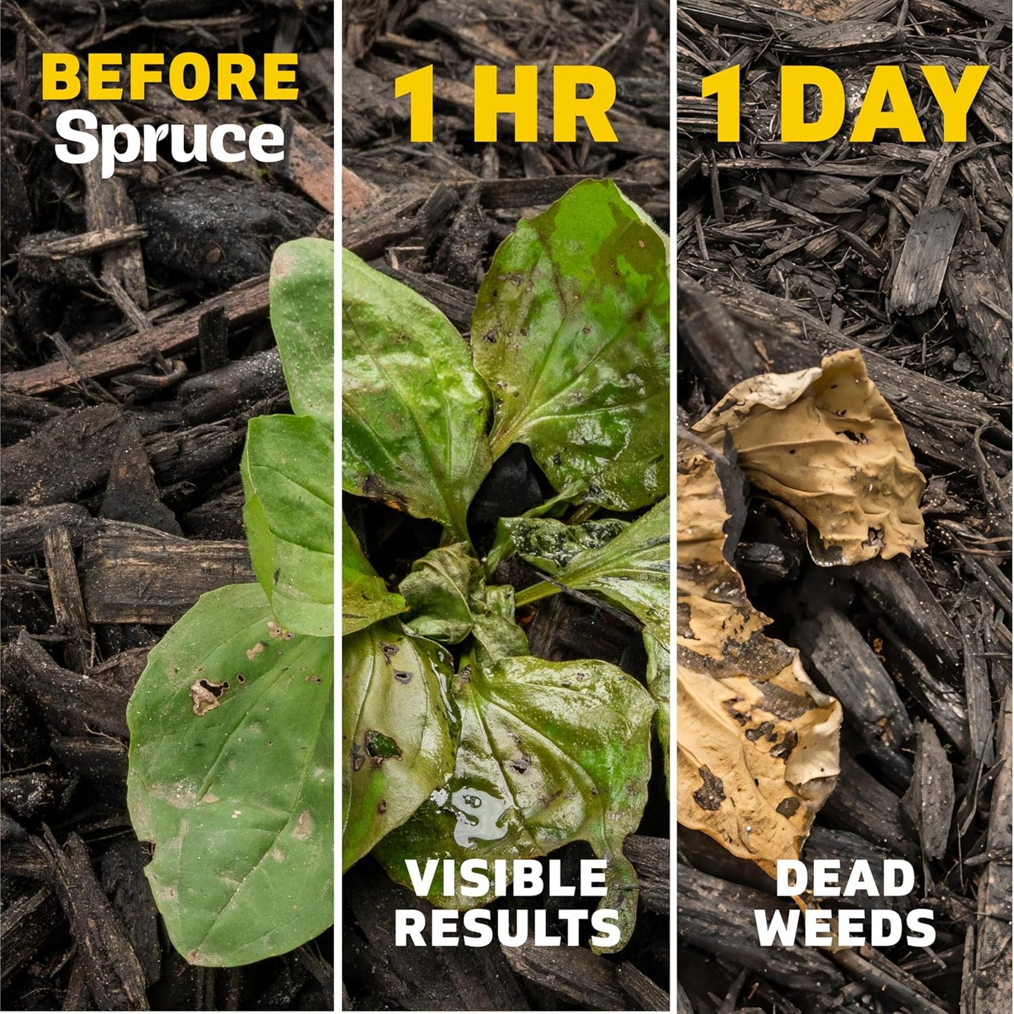 Versatile No-Mess Weed Killer Refill for Flower Beds & Driveways - Spruce (64 Oz)
